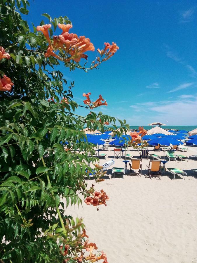 Appartamento Alba Rosa Francavilla Al Mare Exterior foto